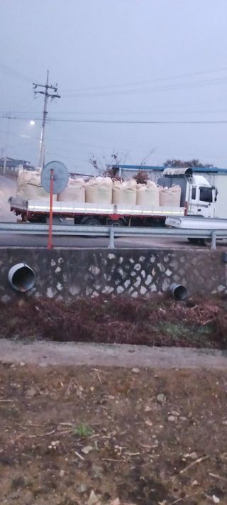 이복길님의 12월 내 작물 자랑하기 · 참여글 작성글 사진