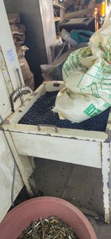 팜모닝 팜모닝공식·공지 게시글 이미지