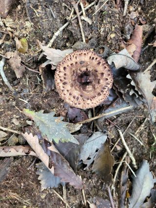 논산상월안정환님의 자유주제 · 자유게시판 작성글 사진