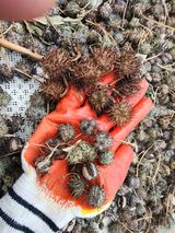 팜모닝 자유주제·자유게시판 게시글 이미지