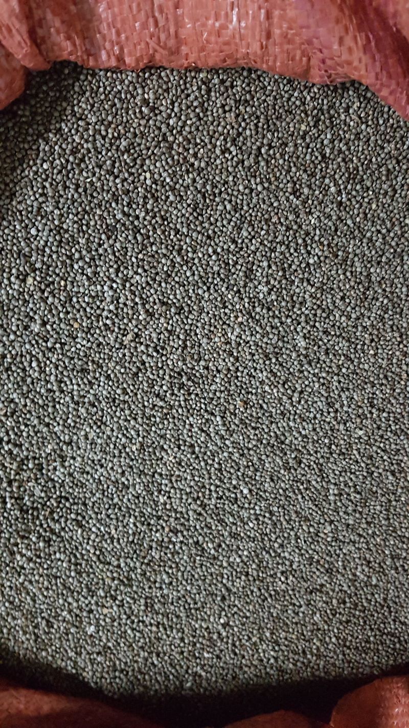 신동익님의 장터 판매 상품 [들깨] 첨부 사진