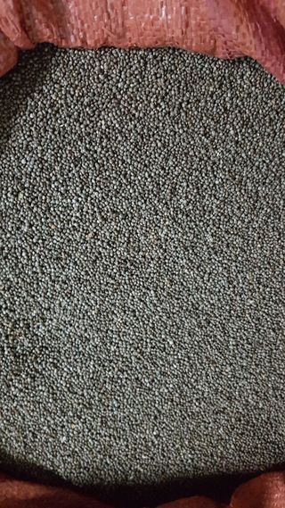 신동익님의 작성글 사진