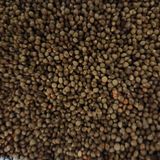 팜모닝 들깨·자유게시판 게시글 이미지