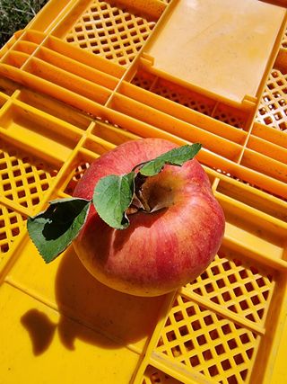 호랑이와인성이님의 작성글 사진