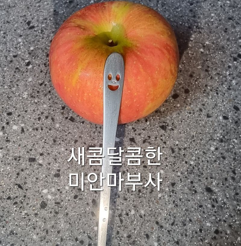 호랑이와인성이님의 장터 판매 상품 [봉화 부사  5k] 첨부 사진