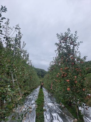 호랑이와인성이님의 작성글 사진
