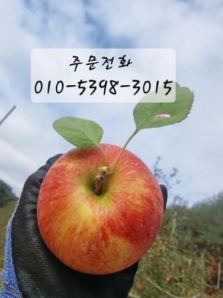 호랑이와인성이님의 작성글 사진