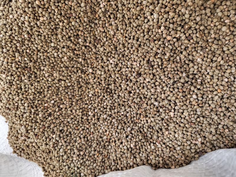 장터 상품 [국내산 햇들깨 6kg] 썸네일