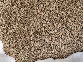 초보 농사꾼~~~ㅇ님의 작성글 사진