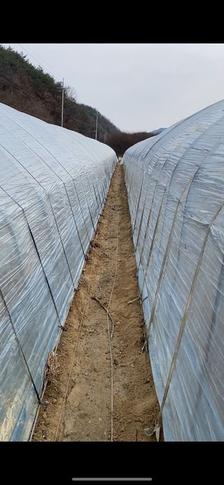 박동주님의 12월 내 작물 자랑하기 · 참여글 작성글 사진