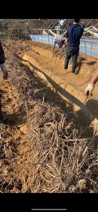 박동주님의 12월 내 작물 자랑하기 · 참여글 작성글 사진