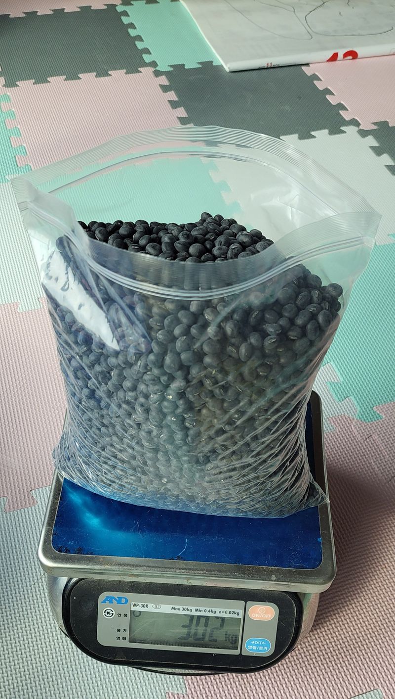 김중언님의 장터 판매 상품 [서리태(2023년 수확) -귀족,납작 - ***판매완료***] 첨부 사진