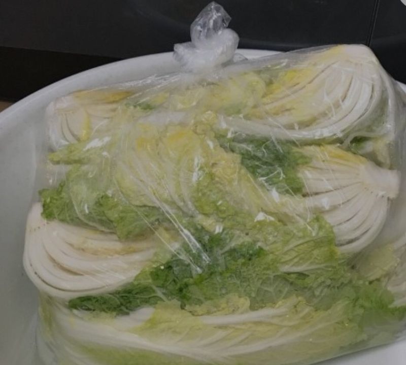 유태수님의 장터 판매 상품 [김장봉투 ㆍ고추봉투] 첨부 사진