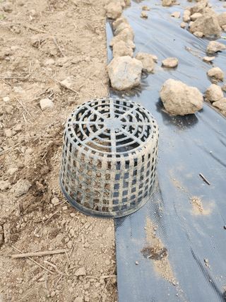 한재범님의 기타작물 · 영농일지 작성글 사진