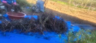 소데카님의 자유주제 · 자유게시판 작성글 사진