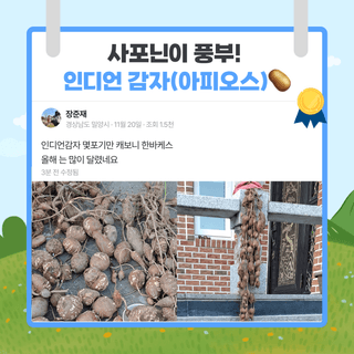 팜모닝 베스트님의 팜모닝공식 · 팜모닝 베스트 작성글 사진