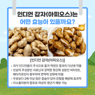 팜모닝 베스트님의 팜모닝공식 · 팜모닝 베스트 작성글 사진