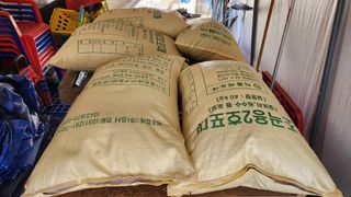 강원도 옥수수 들깨님의 12월 내 작물 자랑하기 · 참여글 작성글 사진