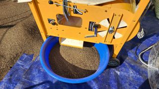 강원도 옥수수 들깨님의 12월 내 작물 자랑하기 · 참여글 작성글 사진