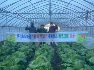 미래의 의사는 농부님의 배추 · 일상 작성글 사진