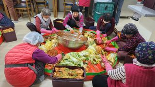 미래의 의사는 농부님의 배추 · 일상 작성글 사진