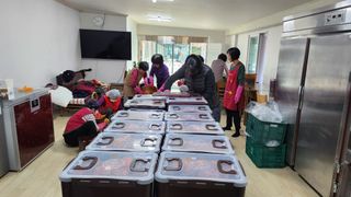 미래의 의사는 농부님의 배추 · 일상 작성글 사진