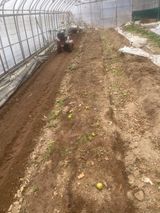 팜모닝 파·자유게시판 게시글 이미지