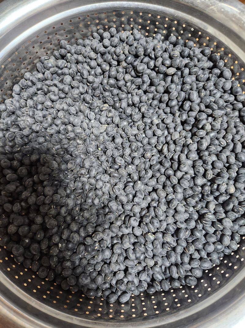 장터 상품 [서리태1kg] 썸네일