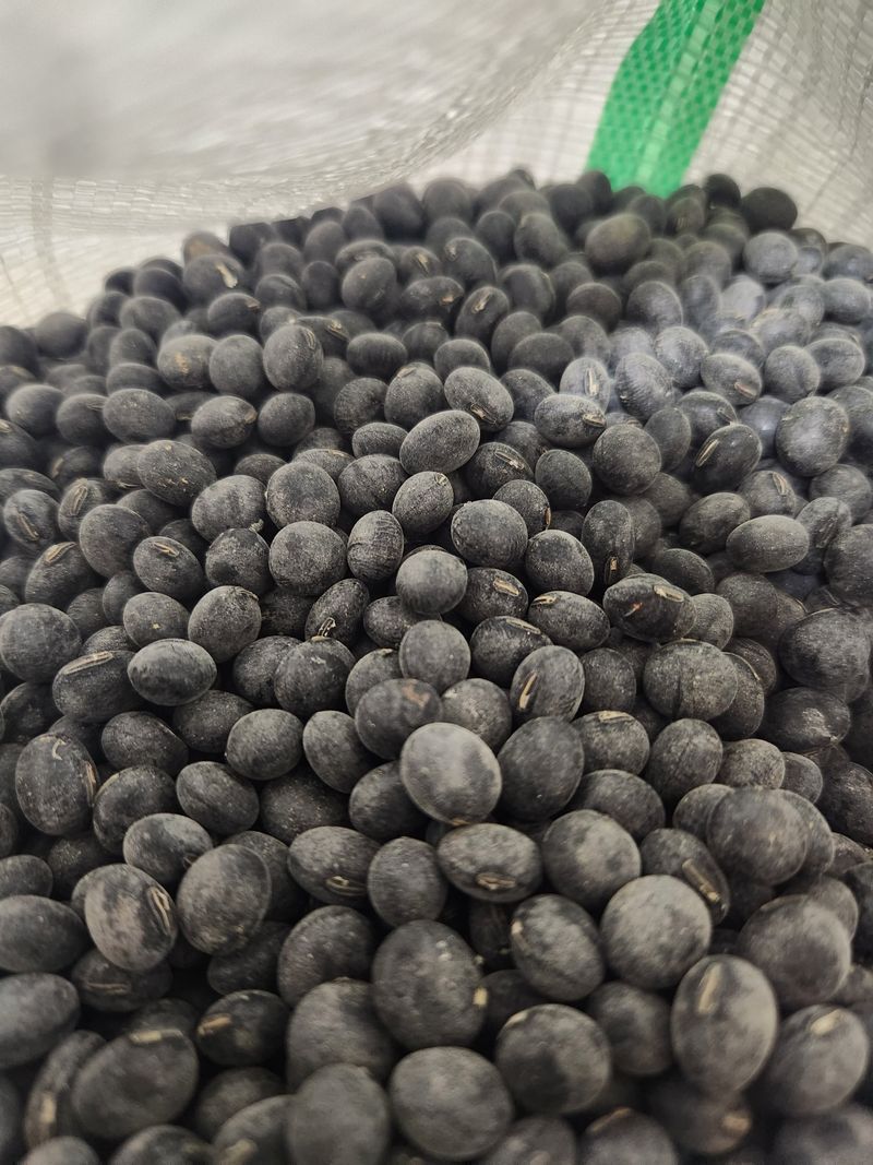 장안님의 장터 판매 상품 [서리태1kg] 첨부 사진