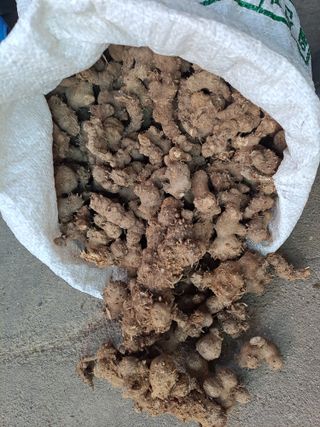 백순분님의 작성글 사진