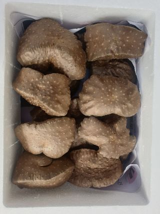 주말농부님의 자유주제 · 자유게시판 작성글 사진