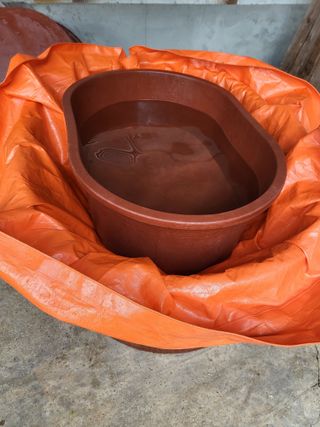 남원여시님의 배추 · 영농일지 작성글 사진