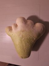 팜모닝 12월 내 작물 자랑하기·참여글 게시글 이미지