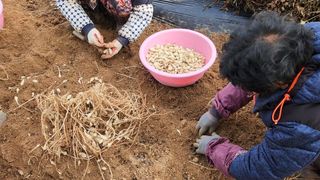 약초를사랑한짱아줌마님의 작성글 사진