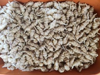 약초를사랑한짱아줌마님의 작성글 사진