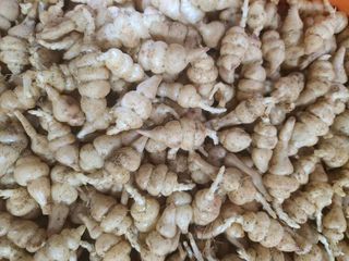 약초를사랑한짱아줌마님의 작성글 사진