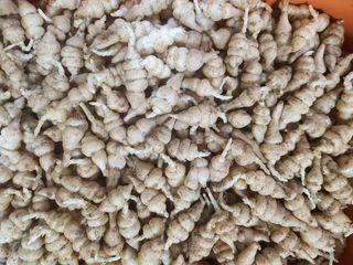 약초를사랑한짱아줌마님의 작성글 사진