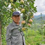 팜모닝 자유주제·자유게시판 게시글 이미지