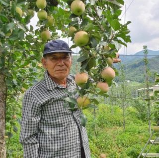 농수산저널님의 자유주제 · 자유게시판 작성글 사진