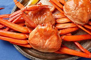 노가네수산님의 자유주제 · 자유게시판 작성글 사진