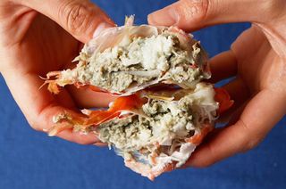 노가네수산님의 자유주제 · 자유게시판 작성글 사진