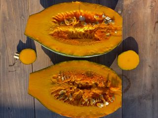 박린님의 호박 · 자유게시판 작성글 사진