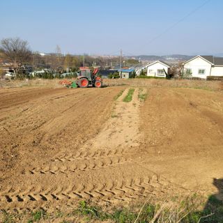 이남수진천님의 12월 내 작물 자랑하기 · 참여글 작성글 사진