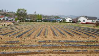 이남수진천님의 12월 내 작물 자랑하기 · 참여글 작성글 사진