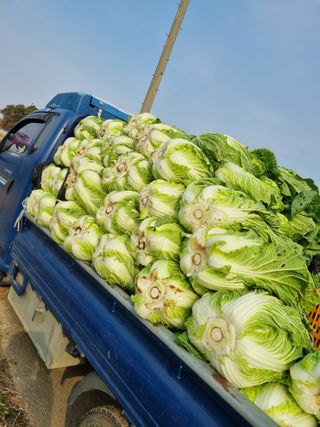 김 기 동님의 12월 내 작물 자랑하기 · 참여글 작성글 사진