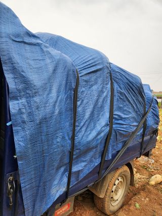 김저팔계님의 배추 · 영농일지 작성글 사진