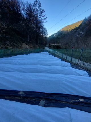 성장하는농부님의 12월 내 작물 자랑하기 · 참여글 작성글 사진