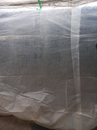 하늘농원님의 블루베리 · 자유게시판 작성글 사진