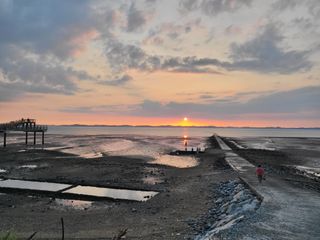 세종키다리님의 12월 내 작물 자랑하기 · 참여글 작성글 사진
