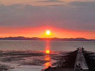 세종키다리님의 12월 내 작물 자랑하기 · 참여글 작성글 사진